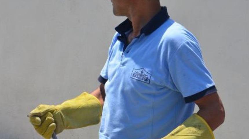 Eve Giren Yılanı Itfaiye Ekibi Yakaladı