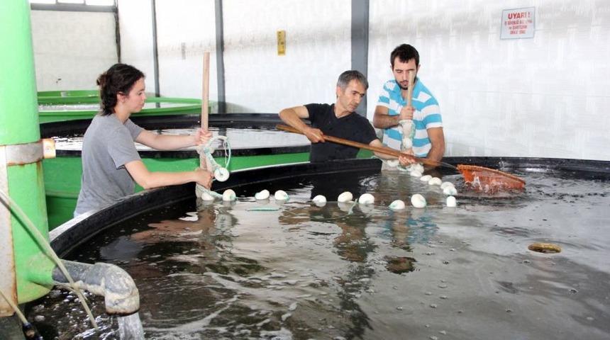 Su &Uuml;r&uuml;nlerinde Avcılık D&uuml;ş&uuml;yor, Yetiştiricilik Gelişiyor