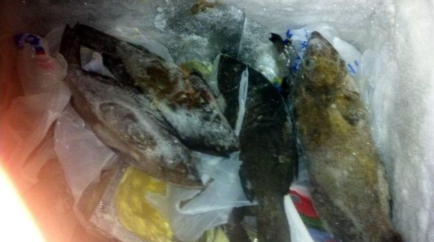 Marmaris&rsquo;te Restoranlara 35 Santim Baskını