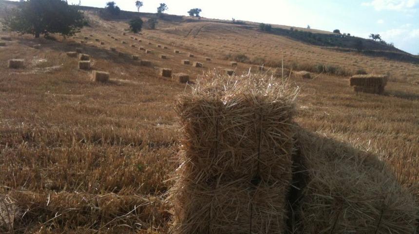 Ankaralı &Ccedil;ift&ccedil;iler Saman Sıkıntısı Yaşamayacak