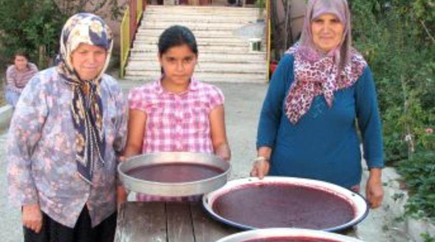 Erikleri Pestil Yaparak Değerlendiriyorlar