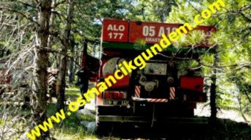 Osmancık'ta orman yangın