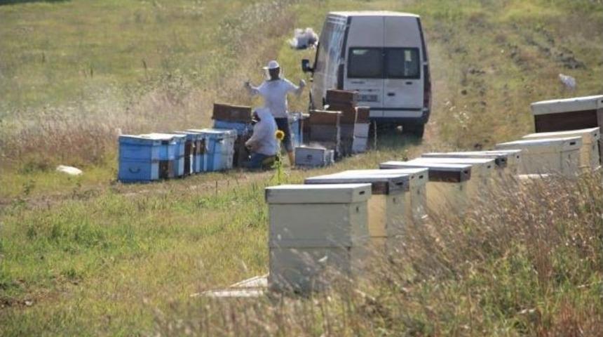 Yalovalı Bal &Uuml;reticileri &Ccedil;i&ccedil;ek Balı İ&ccedil;in Trakya'da