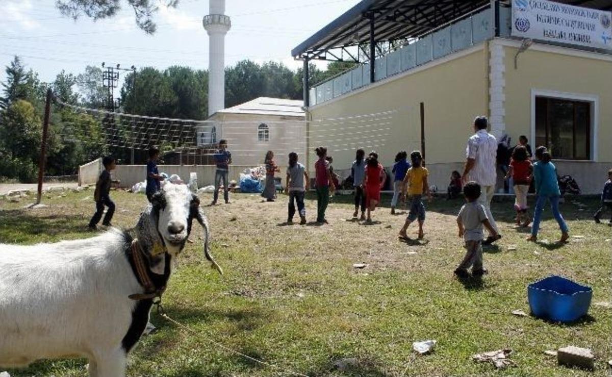 &Ccedil;ocuklar Bah&ccedil;ede Değil, Okulda Mutlular