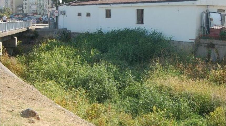 &Ccedil;ınarlı Dere Olası Sel Baskınları &Ouml;ncesinde Alarm Veriyor