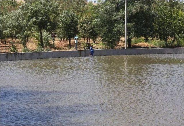 Elektiriğini Üreten Tesis