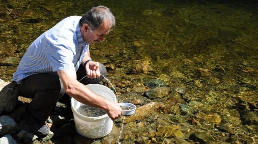 &Ccedil;iftek&ouml;pr&uuml; Ve Kamilet Derelerine 9 Bin Yavru Alabalık Bırakıldı