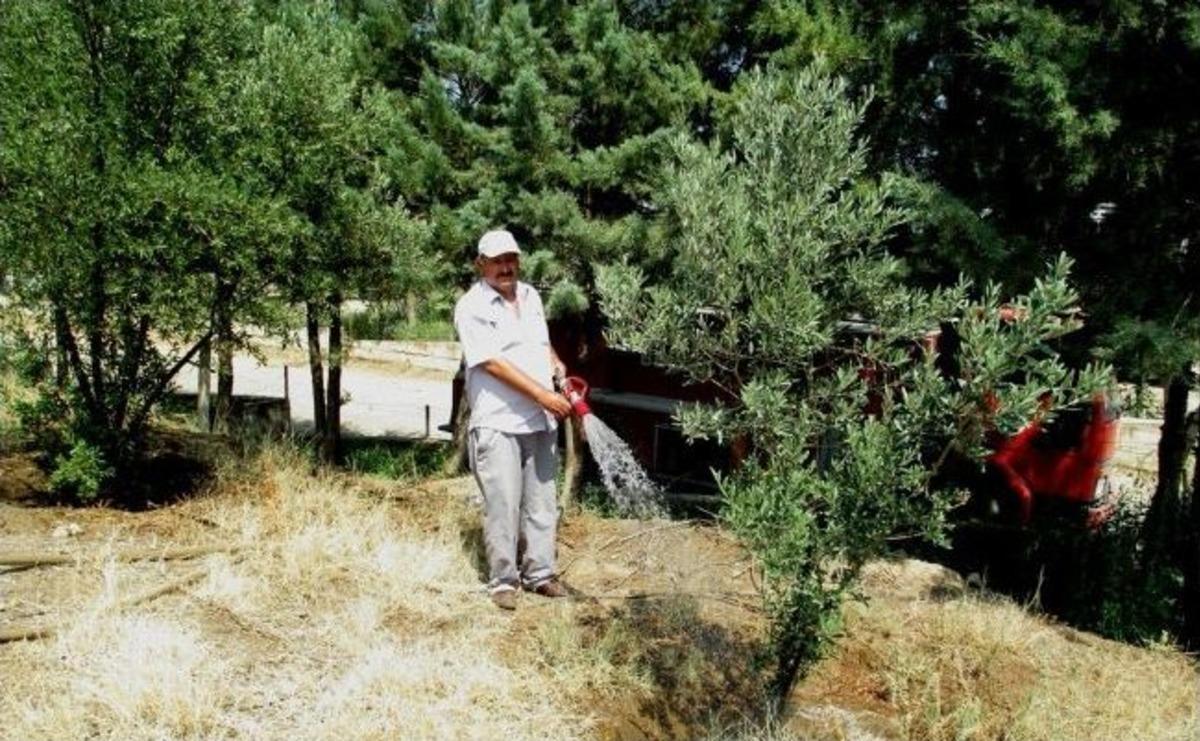 &Ccedil;evreye Duyarlı K&ouml;yl&uuml;n&uuml;n Ağa&ccedil;ları Kurtarma Girişimi