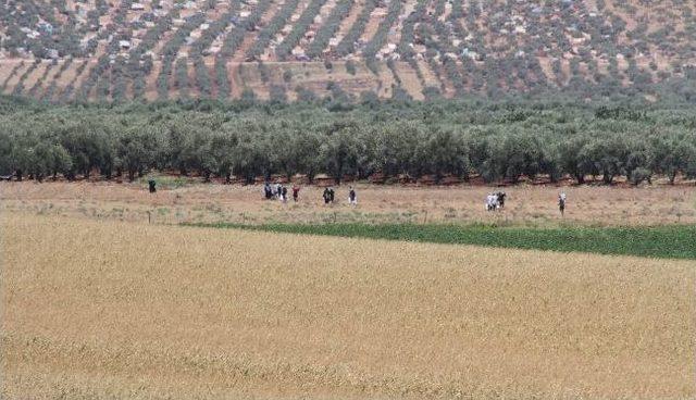 (özel Haber) Savaşmak İçin Suriye’ye Geçmeye Çalışan Muhalifler, Türk Askeri İle Karşı Karşıya Geliyorlar