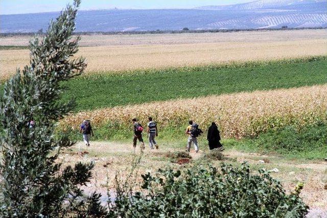 (özel Haber) Savaşmak İçin Suriye’ye Geçmeye Çalışan Muhalifler, Türk Askeri İle Karşı Karşıya Geliyorlar