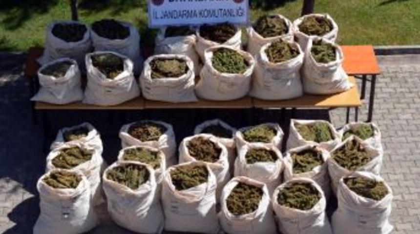 Diyarbakır'da 629 Kilo Esrar Ele Ge&ccedil;irildi