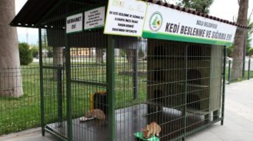 Bolu'da Kediler I&ccedil;in Bir Ev Daha Hizmete Girdi