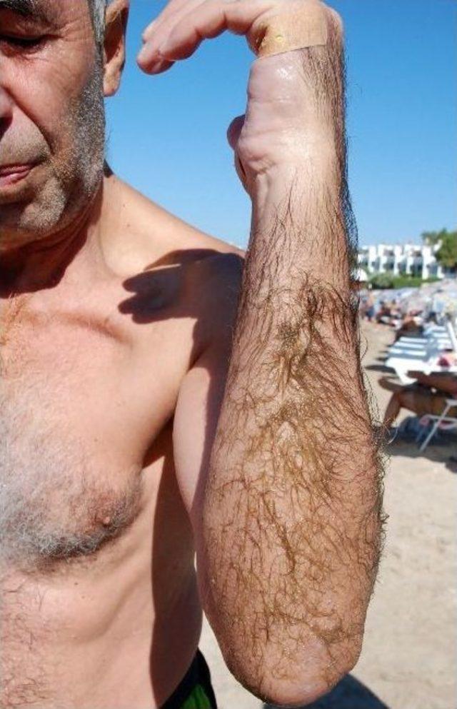 Didim&rsquo;de Kirlilik G&ouml;r&uuml;nt&uuml;s&uuml;ne Yosun Neden Olmuş 2