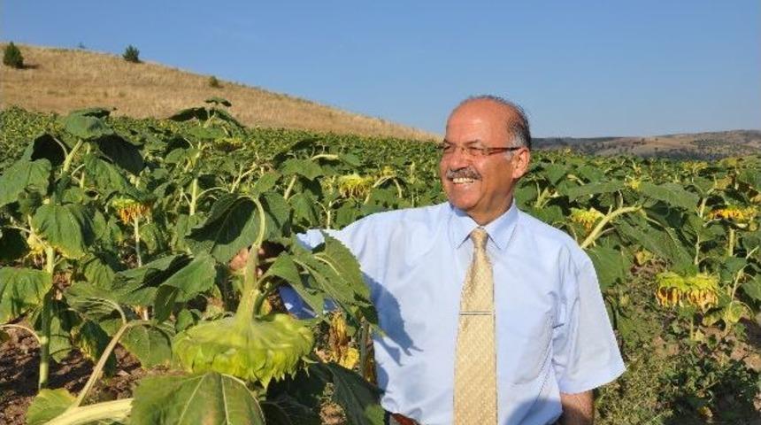Kırıkkale Valisi Ali Kolat,