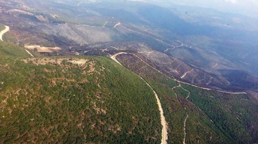 Yanan Ormanlar Havadan G&ouml;r&uuml;nt&uuml;lendi