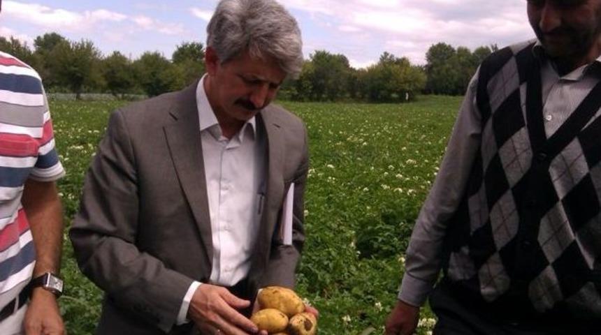 Patates Tarla Okulu &Ccedil;ift&ccedil;i Eğitim &Ccedil;alışması Yapıldı