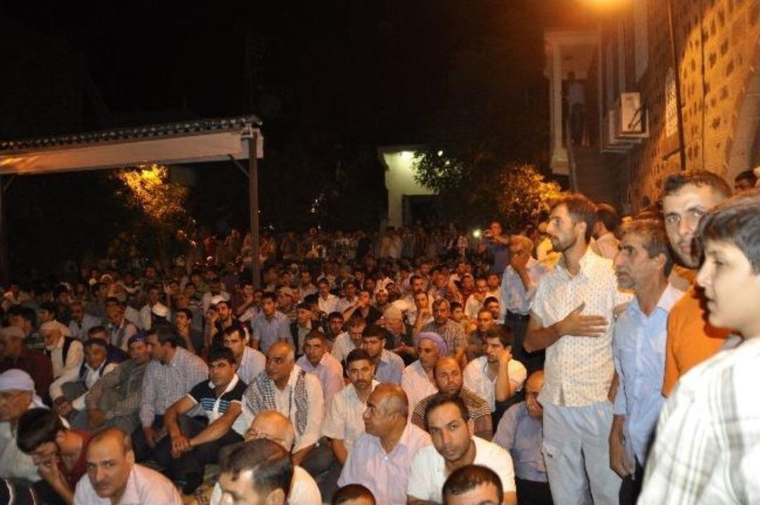 Siverek&rsquo;te Sakalı Şerife Yoğun İlgi