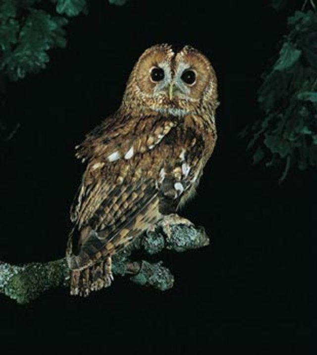 En garip batıl inan&ccedil;lar 7