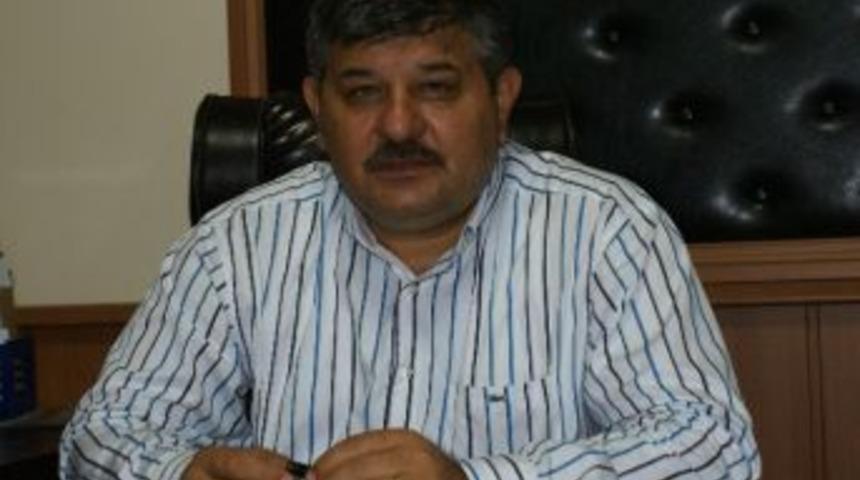 Aydınlı &Ccedil;ift&ccedil;iler Zeytinden G&uuml;ld&uuml;