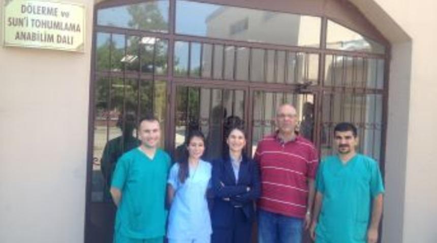 Transgenik Tavşanlar, &Ouml;l&uuml;mc&uuml;l Hastalıklarda Umut Olacak