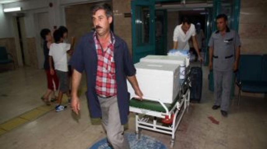 Kaza Kurşunuyla &Ouml;len Gencin Organları &Uuml;&ccedil; Hastaya Umut Oldu