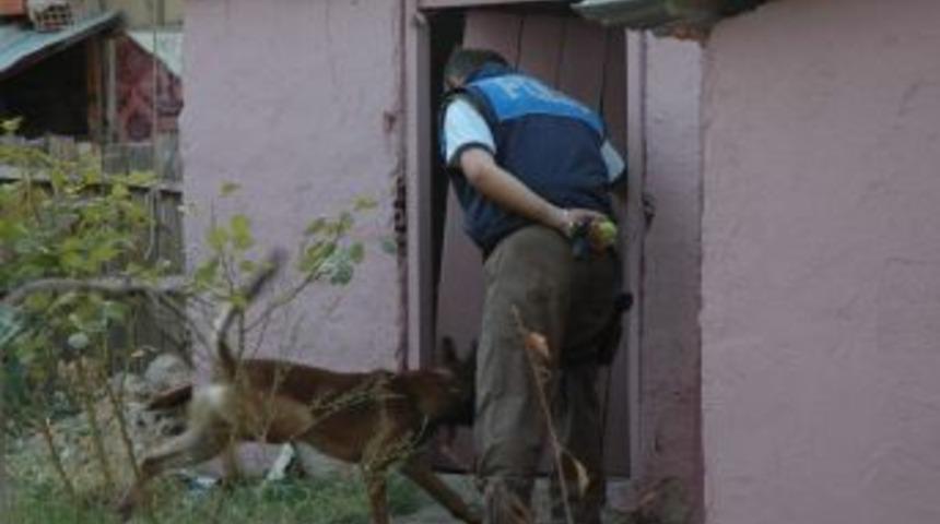 Denizli'de Uyuşturucu Ve Ka&ccedil;ak&ccedil;ılık Operasyonları