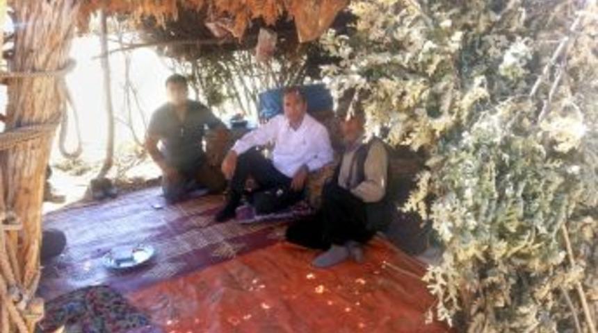 Ter&ouml;r Nedeniyle Kullanılamayan Yılan Ovası Hayvancılığa A&ccedil;ılıyor