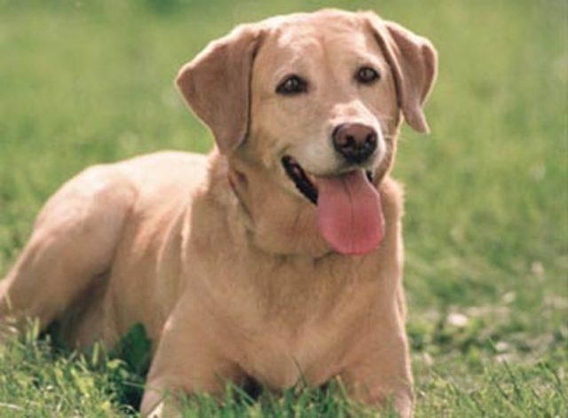 En garip batıl inan&ccedil;lar 20