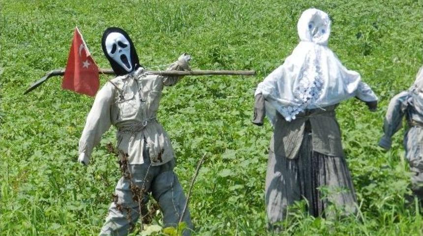 İlgin&ccedil; Koruma