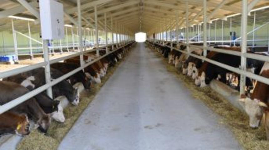 Kırmızı Et &Uuml;reticisi Başbakan'la G&ouml;r&uuml;şmek Istiyor