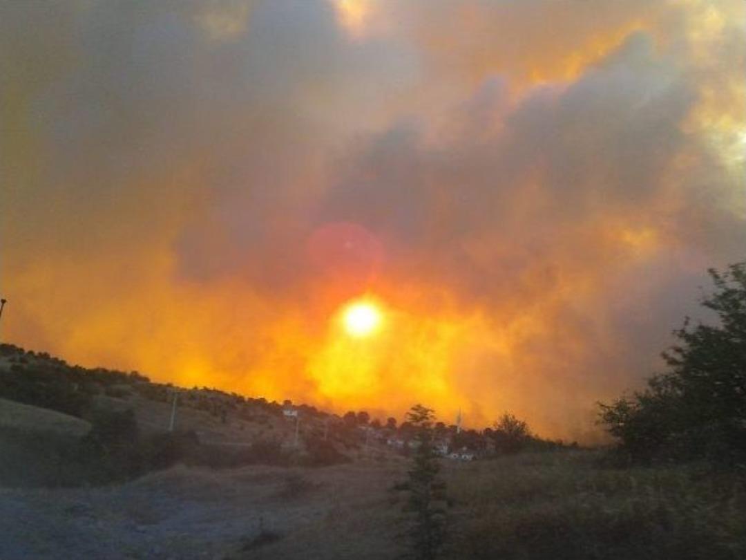 Orman Yangınının Ortasında Kalan İş&ccedil;inin &Ccedil;aresizliği