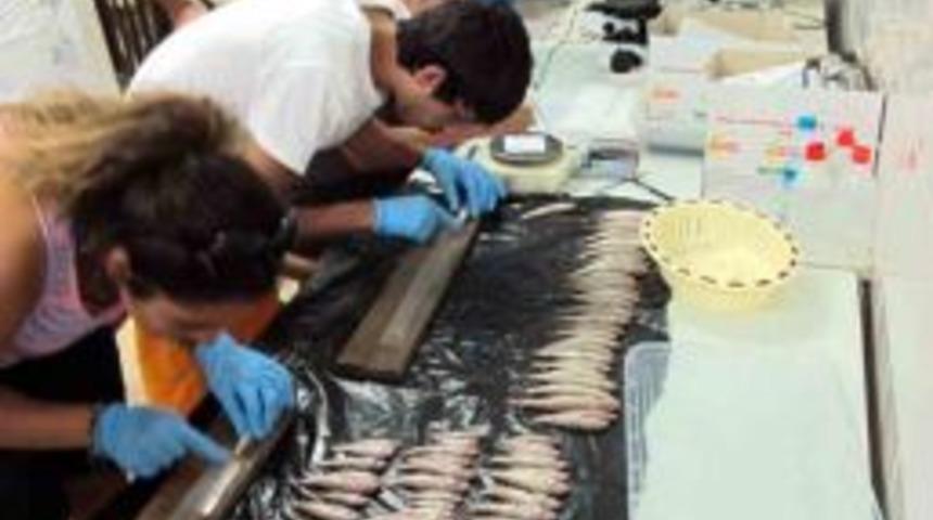 Su &Uuml;r&uuml;nleri &Ouml;ğrencileri, Teorik Bilgileri Pratikle Destekledi