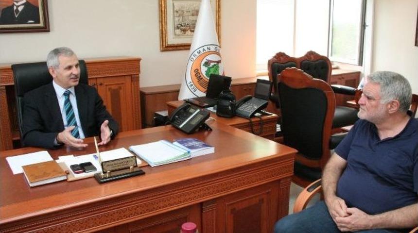 Orman İ&ccedil;i Otlaklar Değerlendirilecek