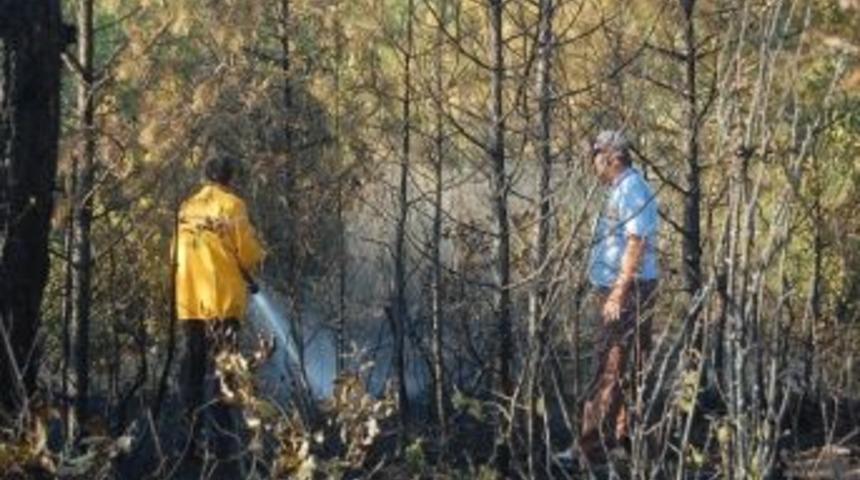 Bursa'da Orman Yangını