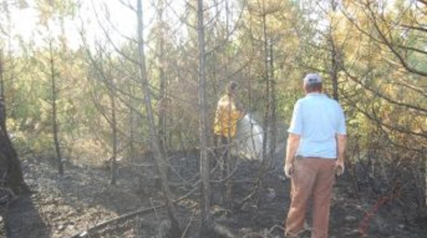 Keles'teki Orman Yangını Kontrol Altına Alındı