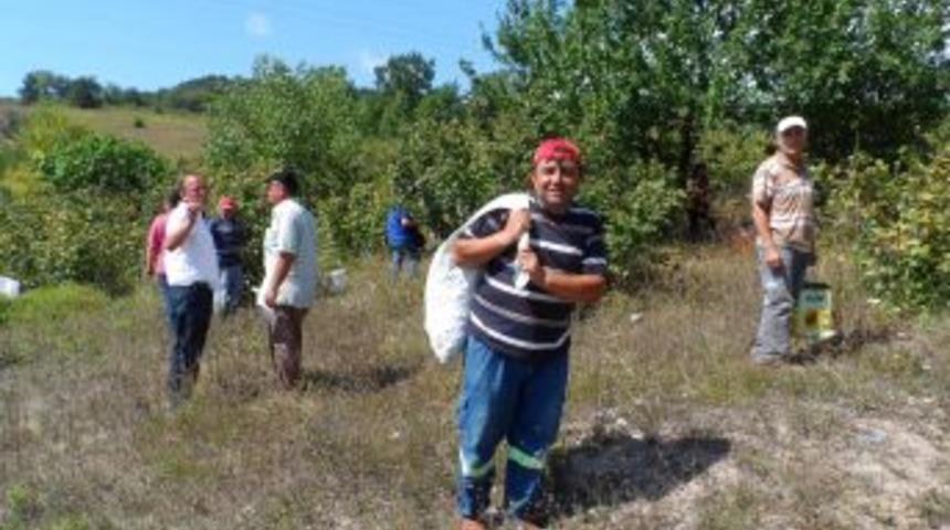 K&ouml;yl&uuml;ler Okul Yaptırmak I&ccedil;in Fındık Topluyor