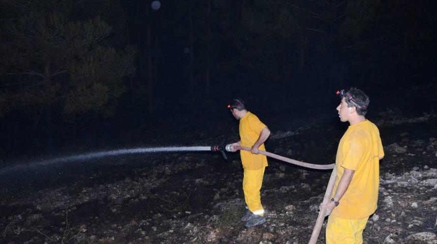 Atat&uuml;rk Barajı&rsquo;nda &Ccedil;ıkan Yangında 3 Hektar Alan K&uuml;l Oldu