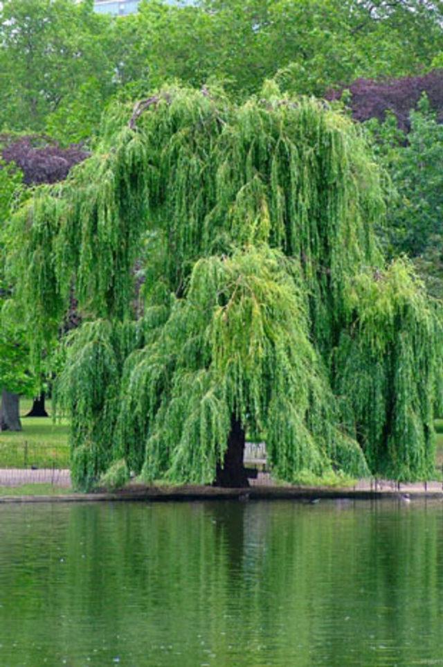 En garip batıl inan&ccedil;lar 37