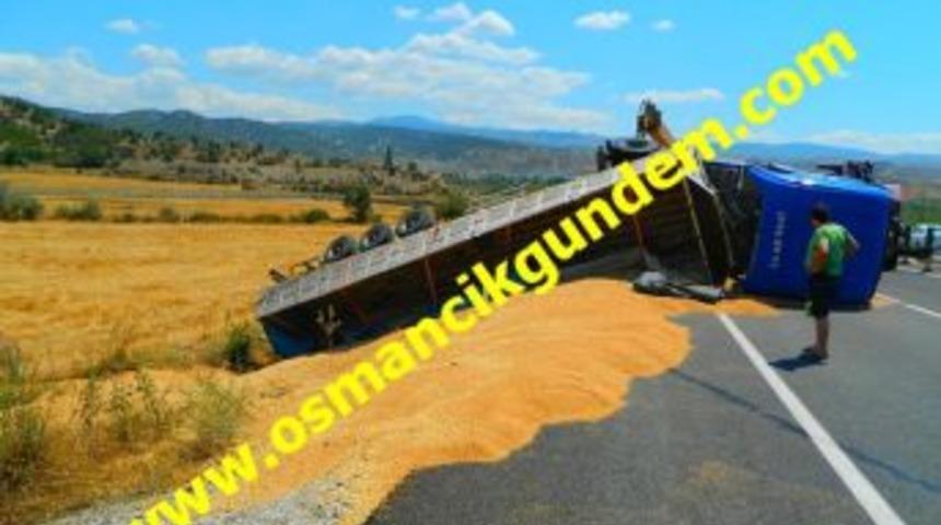 Osmancık'ta buğday y&uuml;kl&uuml; TIR devrildi