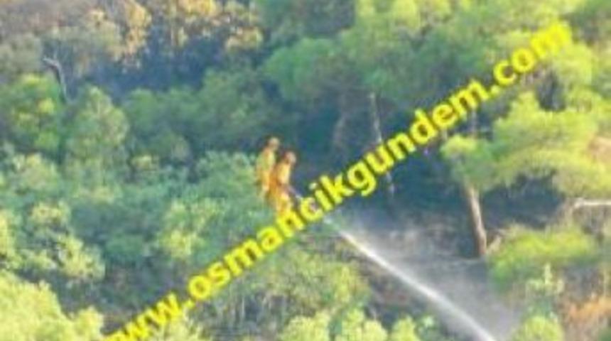 SON DAKİKA!... Hacıhamza'da orman yangını