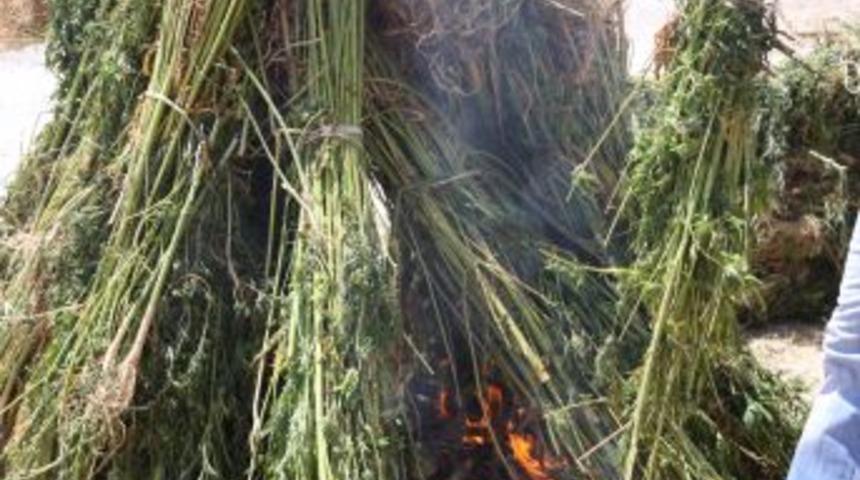 Kuşadası KOM ekipleri g&ouml;z a&ccedil;tırmadı