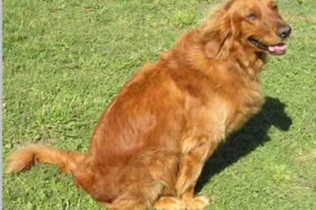 En garip batıl inan&ccedil;lar 47