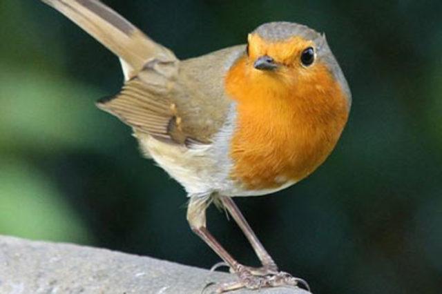 En garip batıl inan&ccedil;lar 49