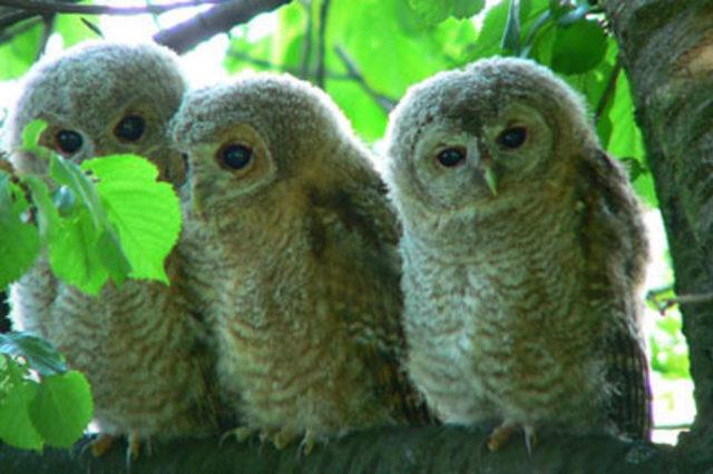 En garip batıl inan&ccedil;lar 52