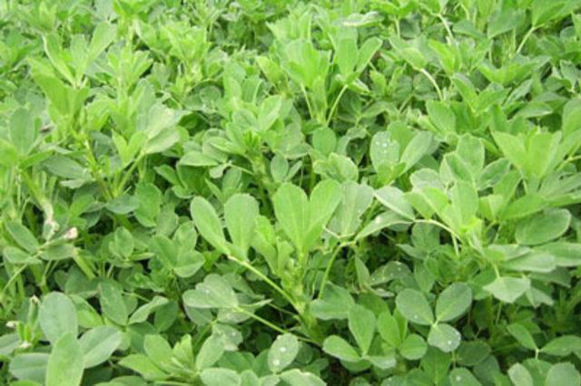 En garip batıl inan&ccedil;lar 55