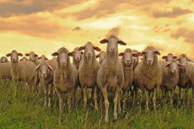 En garip batıl inan&ccedil;lar 56