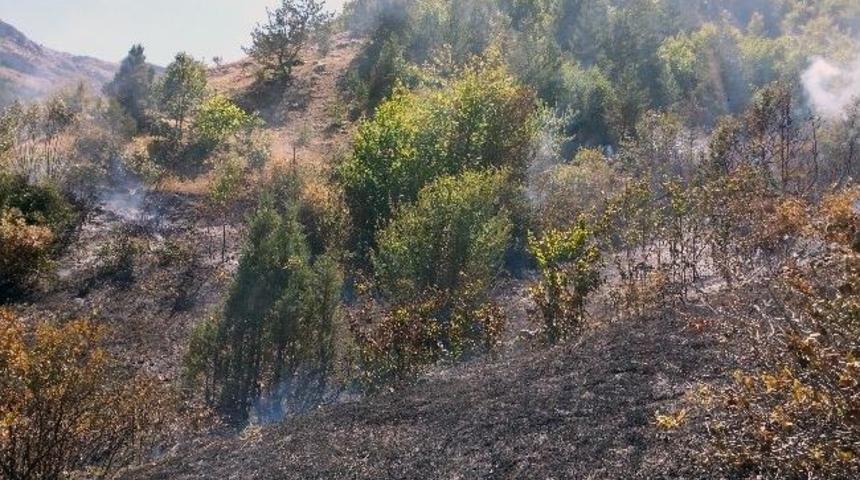 G&uuml;m&uuml;şhane'de &Ouml;rt&uuml; Yangını