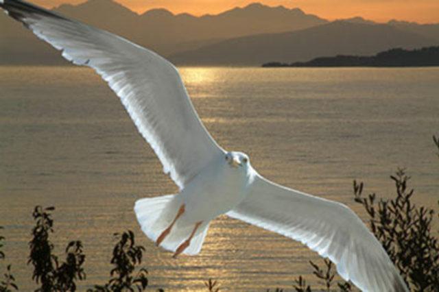 En garip batıl inan&ccedil;lar 60