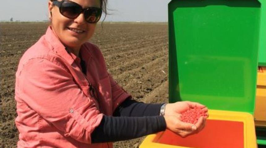 Mısır &Uuml;reticisinin G&ouml;z&uuml; TMO&rsquo;da