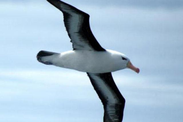 En garip batıl inan&ccedil;lar 61